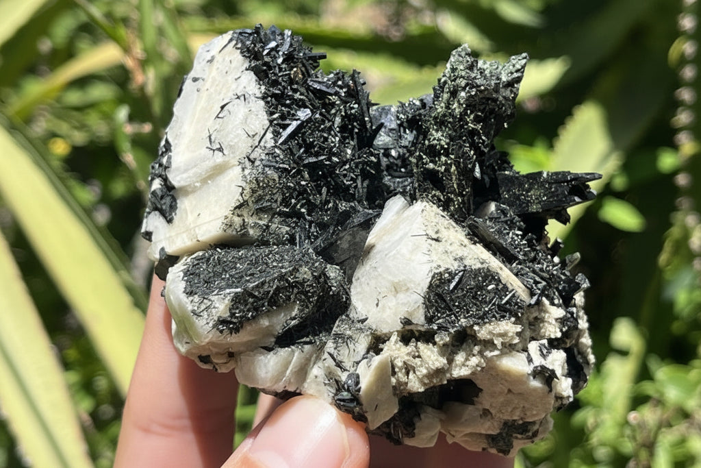 Natural Pitch Black Shiny Acicular Aegirine Specimen x 1 From Zomba, Malawi