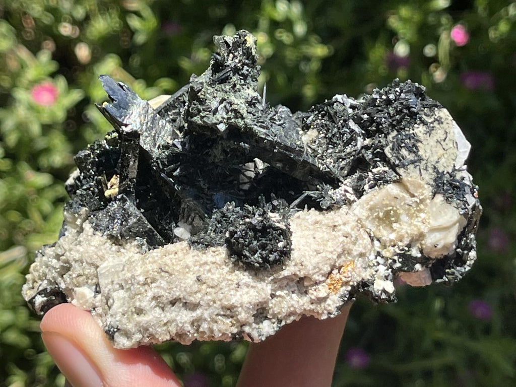 Natural Pitch Black Shiny Acicular Aegirine Specimen x 1 From Zomba, Malawi