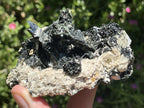 Natural Pitch Black Shiny Acicular Aegirine Specimen x 1 From Zomba, Malawi
