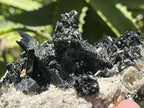 Natural Pitch Black Shiny Acicular Aegirine Specimen x 1 From Zomba, Malawi