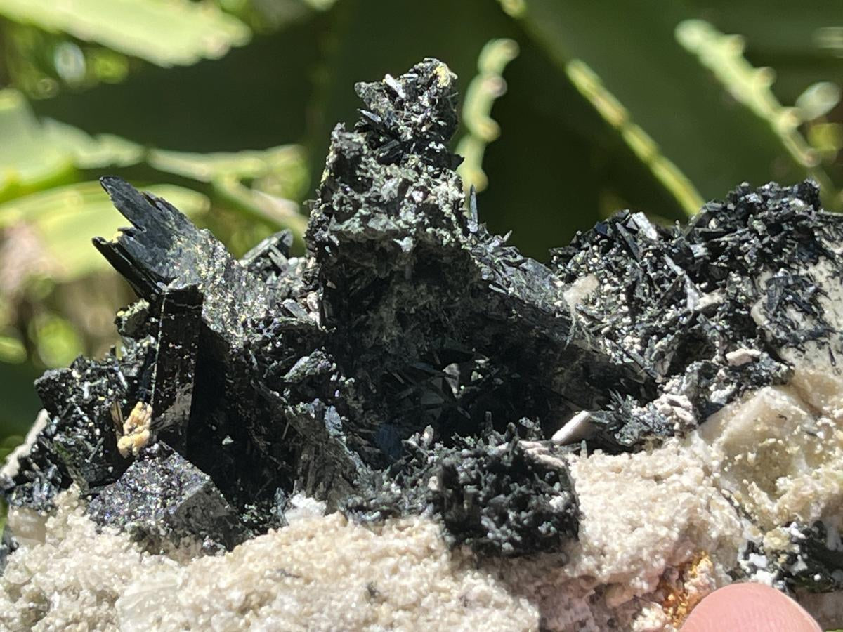Natural Pitch Black Shiny Acicular Aegirine Specimen x 1 From Zomba, Malawi