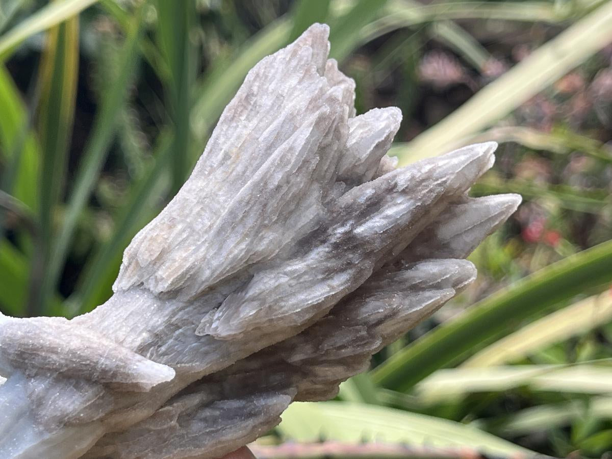 Natural Multi-Terminated Drusy Quartz Spearhead Calcite Sceptre x 1 From Albert's Mountain, Lesotho