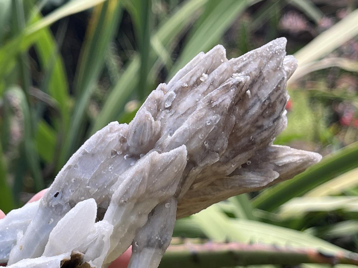 Natural Multi-Terminated Drusy Quartz Spearhead Calcite Sceptre x 1 From Albert's Mountain, Lesotho