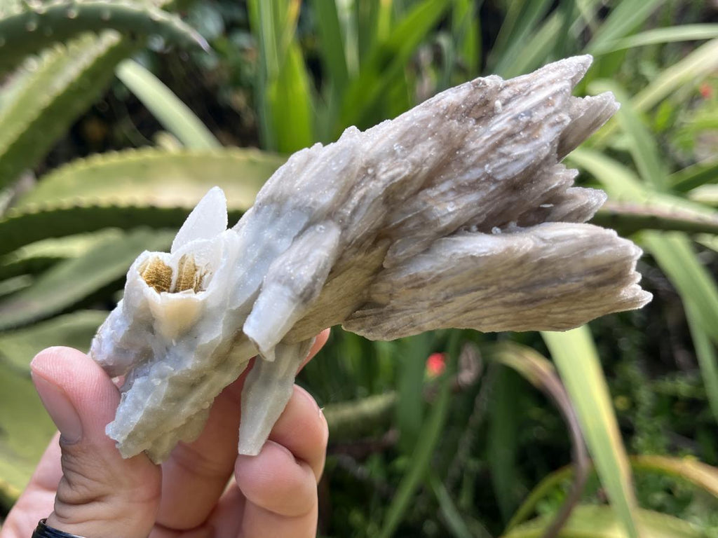 Natural Multi-Terminated Drusy Quartz Spearhead Calcite Sceptre x 1 From Albert's Mountain, Lesotho