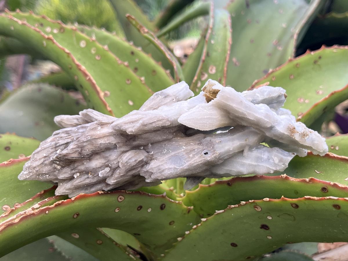 Natural Multi-Terminated Drusy Quartz Spearhead Calcite Sceptre x 1 From Albert's Mountain, Lesotho