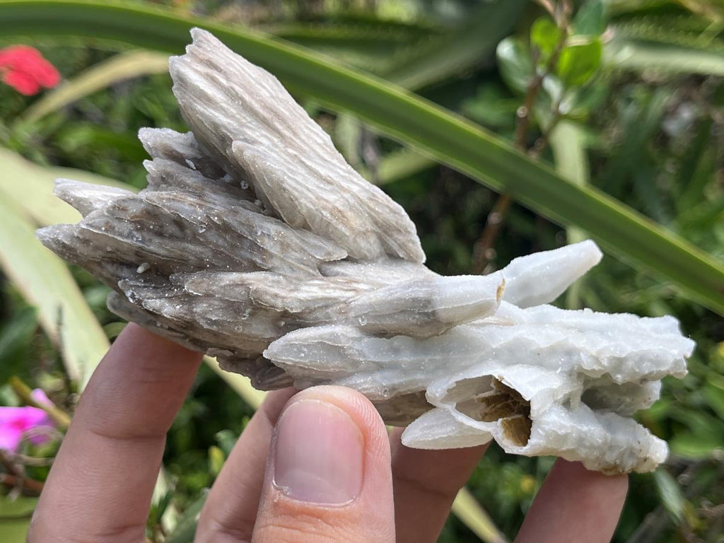 Natural Multi-Terminated Drusy Quartz Spearhead Calcite Sceptre x 1 From Albert's Mountain, Lesotho