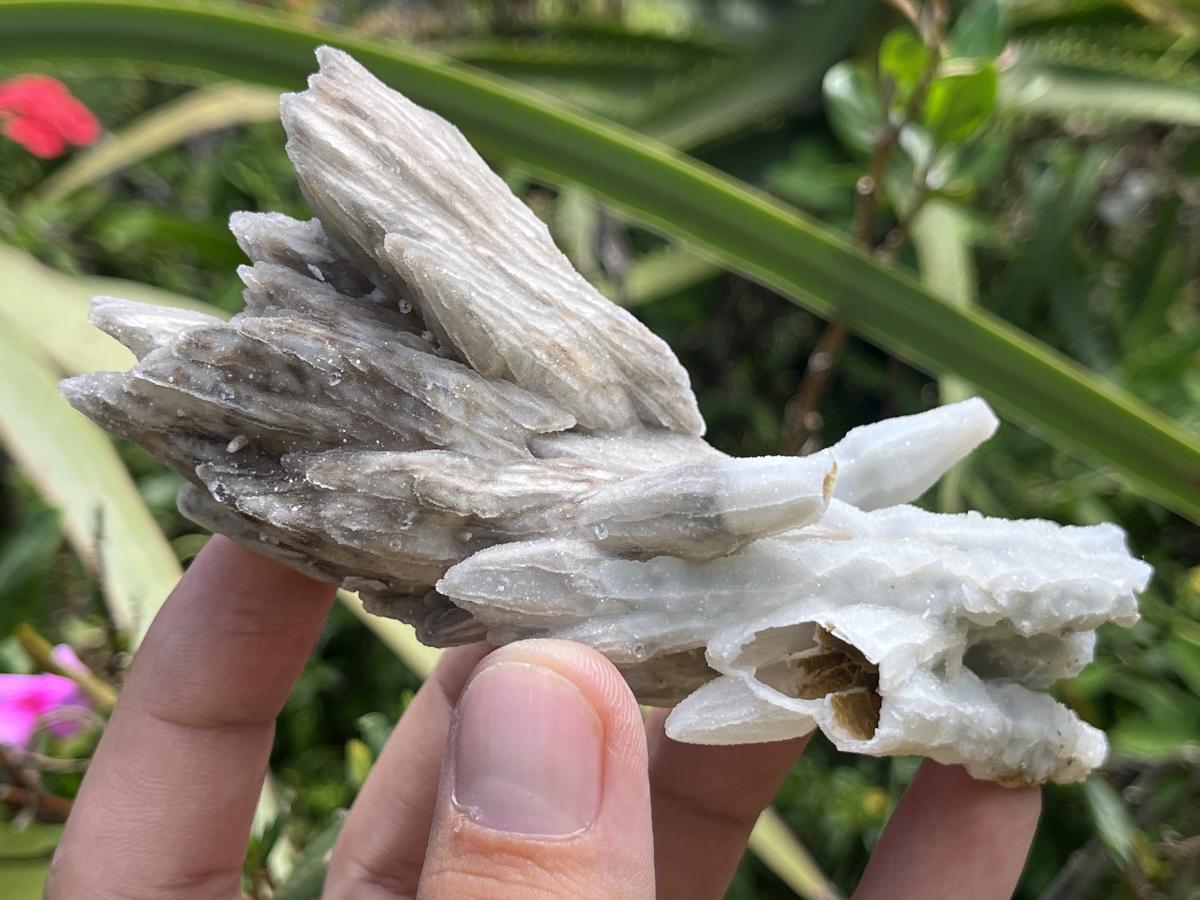 Natural Multi-Terminated Drusy Quartz Spearhead Calcite Sceptre x 1 From Albert's Mountain, Lesotho