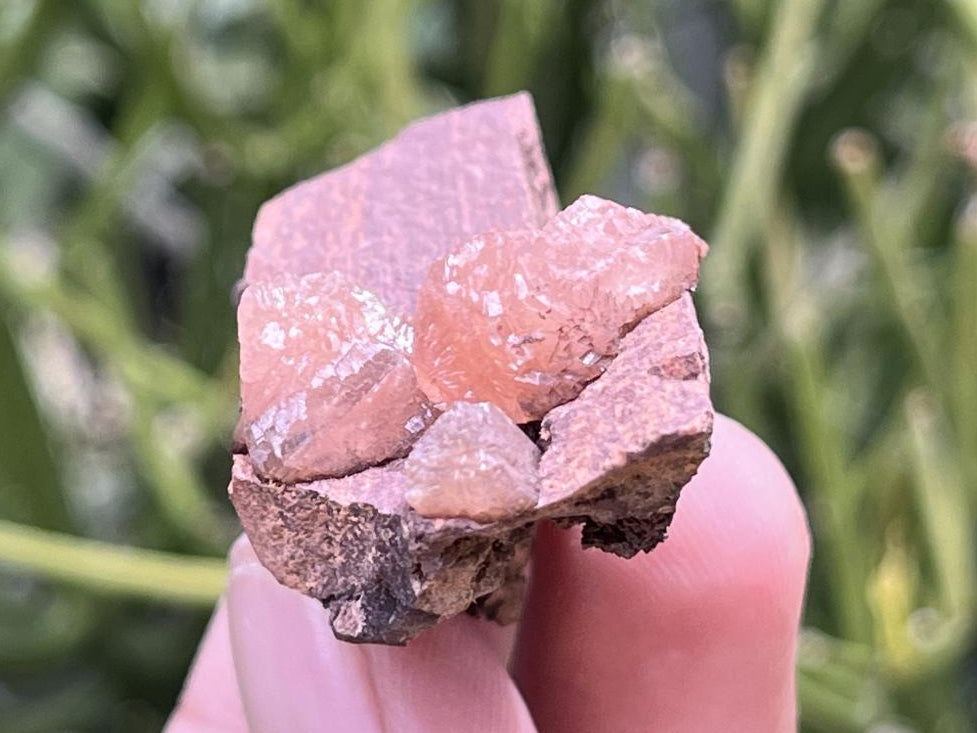 Natural Ultra Rare Olmiite Specimen x 1 From Wessel's Mine, South Africa