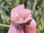 Natural Ultra Rare Olmiite Specimen x 1 From Wessel's Mine, South Africa