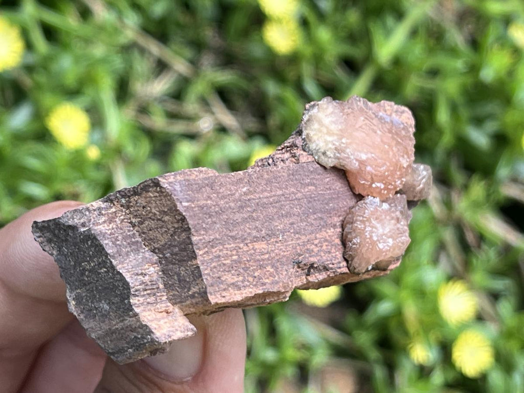 Natural Ultra Rare Olmiite Specimen x 1 From Wessel's Mine, South Africa
