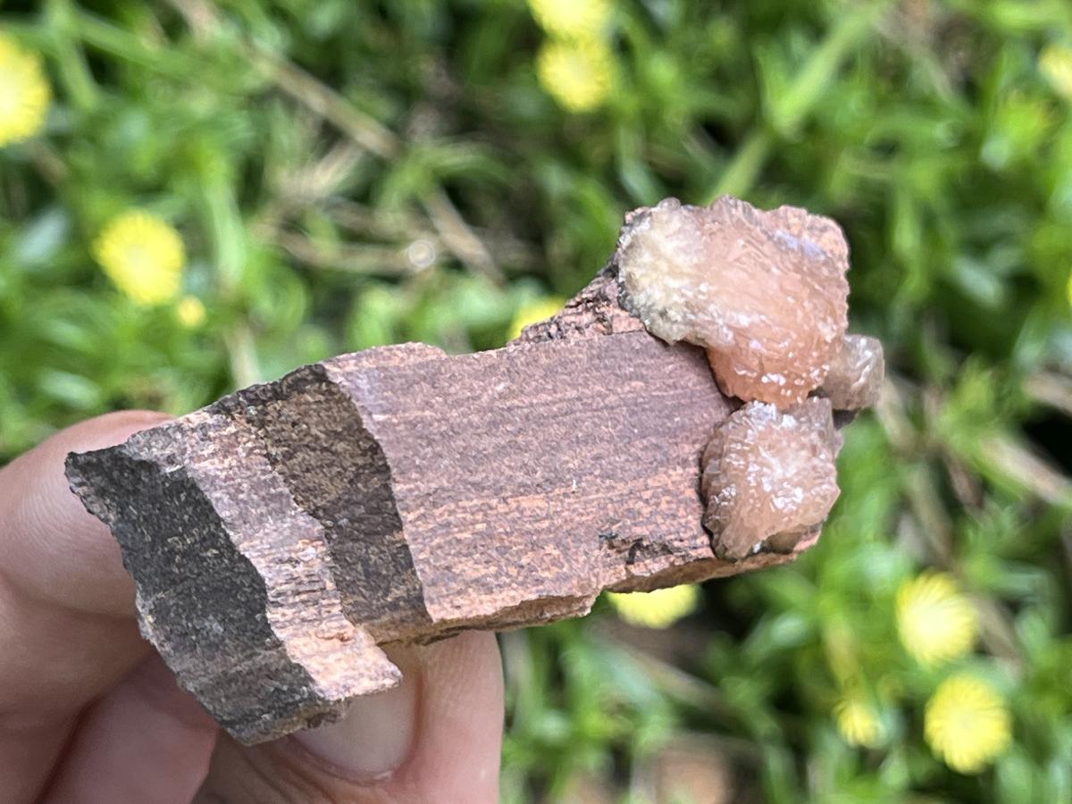 Natural Ultra Rare Olmiite Specimen x 1 From Wessel's Mine, South Africa