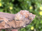 Natural Ultra Rare Olmiite Specimen x 1 From Wessel's Mine, South Africa