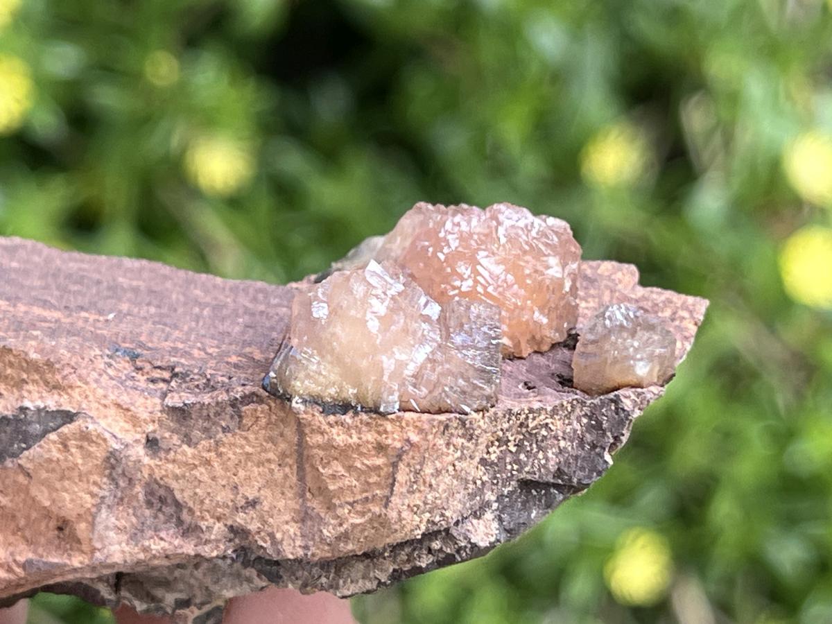 Natural Ultra Rare Olmiite Specimen x 1 From Wessel's Mine, South Africa
