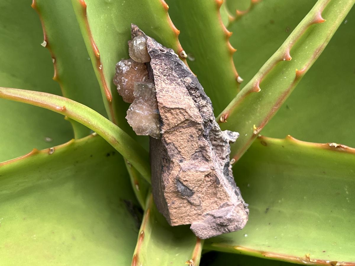 Natural Ultra Rare Olmiite Specimen x 1 From Wessel's Mine, South Africa