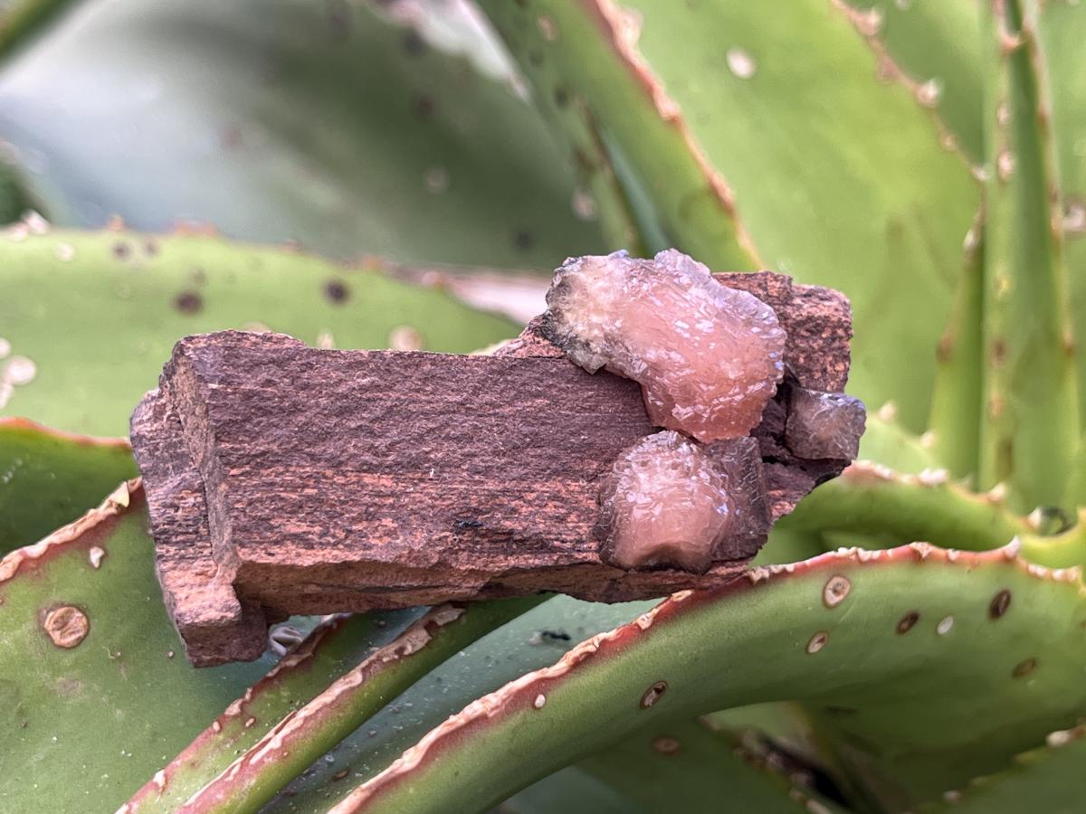 Natural Ultra Rare Olmiite Specimen x 1 From Wessel's Mine, South Africa