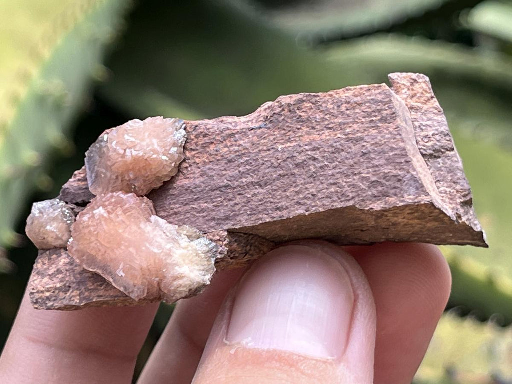 Natural Ultra Rare Olmiite Specimen x 1 From Wessel's Mine, South Africa