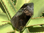 Polished Smokey Quartz Crystal x 1 From Madagascar