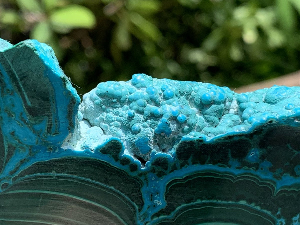 Polished Malacolla Slice x 1 From Kulukuluku, Congo