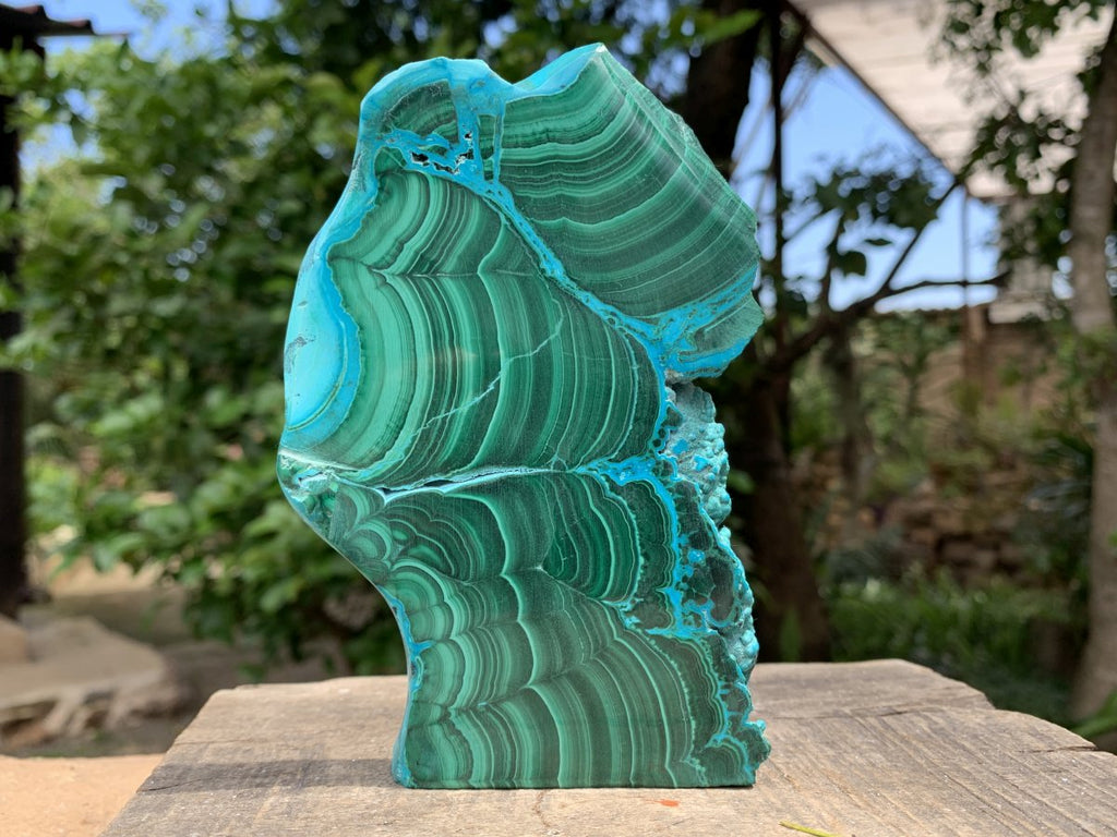 Polished Malacolla Slice x 1 From Kulukuluku, Congo