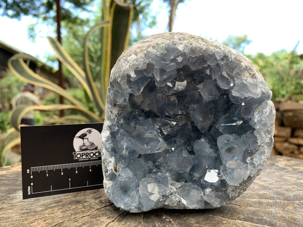 Natural Deep Icy Blue Celestite Crystal Geode Specimen x 1 From Sakoany, Madagascar