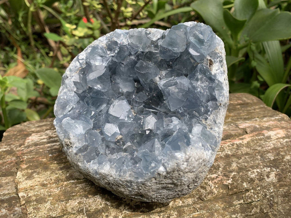 Natural Deep Icy Blue Celestite Crystal Geode Specimen x 1 From Sakoany, Madagascar