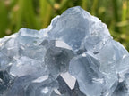 Natural Deep Icy Blue Celestite Crystal Geode Specimen x 1 From Sakoany, Madagascar