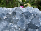 Natural Deep Icy Blue Celestite Crystal Geode Specimen x 1 From Sakoany, Madagascar