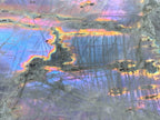 Polished Large Purple Sunset Labradorite Standing Free Form x 1 From Tulear, Madagascar