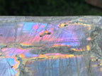 Polished Large Purple Sunset Labradorite Standing Free Form x 1 From Tulear, Madagascar
