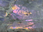 Polished Large Purple Sunset Labradorite Standing Free Form x 1 From Tulear, Madagascar