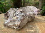 Natural Medium Double Terminated Smokey Amethyst Window Crystal with Double Enhydro x 1 From Brandberg, Namibia
