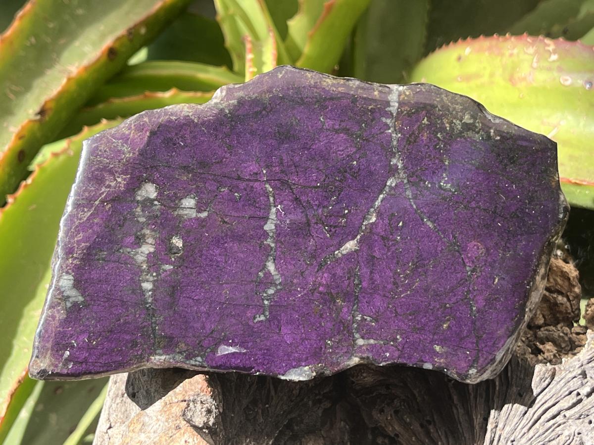 Polished Flashy Metallic Purpurite Specimen x 1 From Erongo, Namibia
