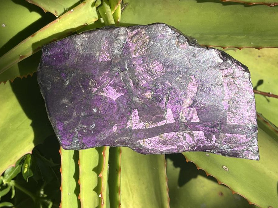 Polished Flashy Metallic Purpurite Specimen x 1 From Erongo, Namibia