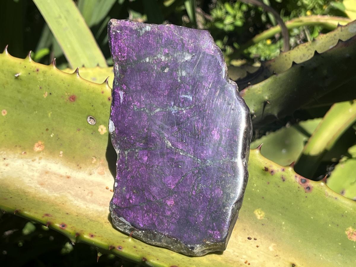Polished Flashy Metallic Purpurite Specimen x 1 From Erongo, Namibia