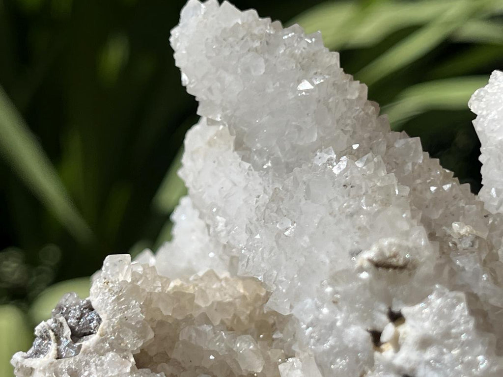 Natural Lesotho Snow Finger Quartz Cluster x 1 From Albert's Mountain