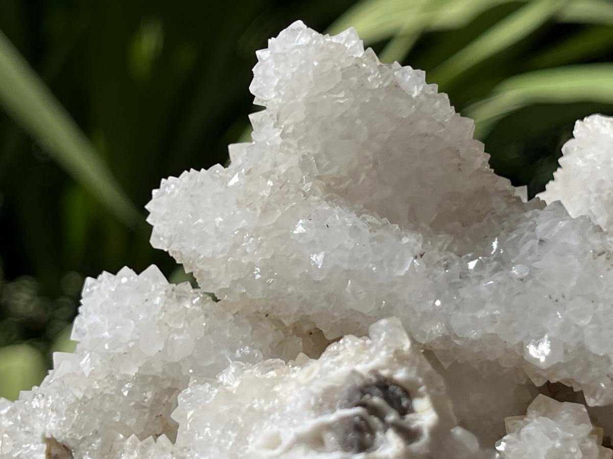 Natural Lesotho Snow Finger Quartz Cluster x 1 From Albert's Mountain