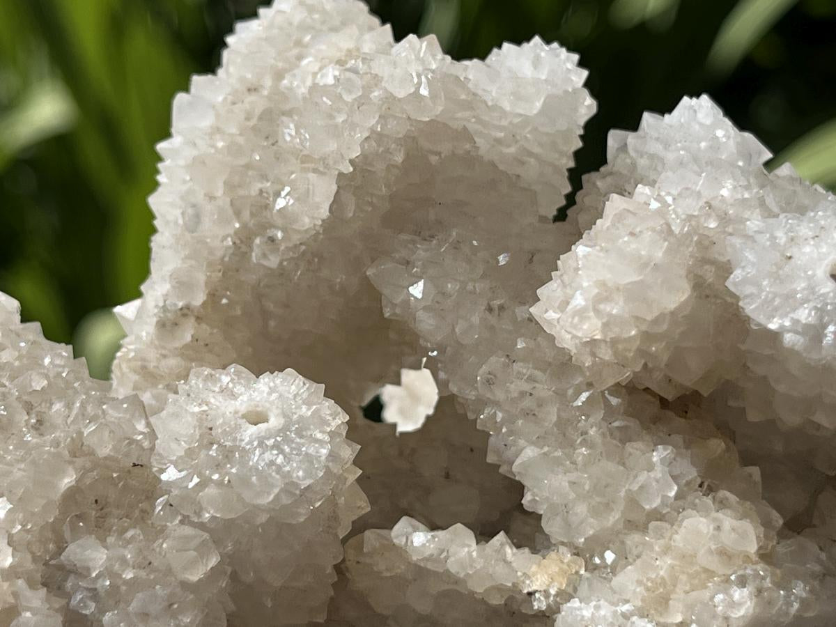 Natural Lesotho Snow Finger Quartz Cluster x 1 From Albert's Mountain