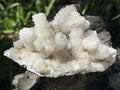 Natural Lesotho Snow Finger Quartz Cluster x 1 From Albert's Mountain