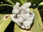 Natural Lesotho Snow Finger Quartz Cluster x 1 From Albert's Mountain
