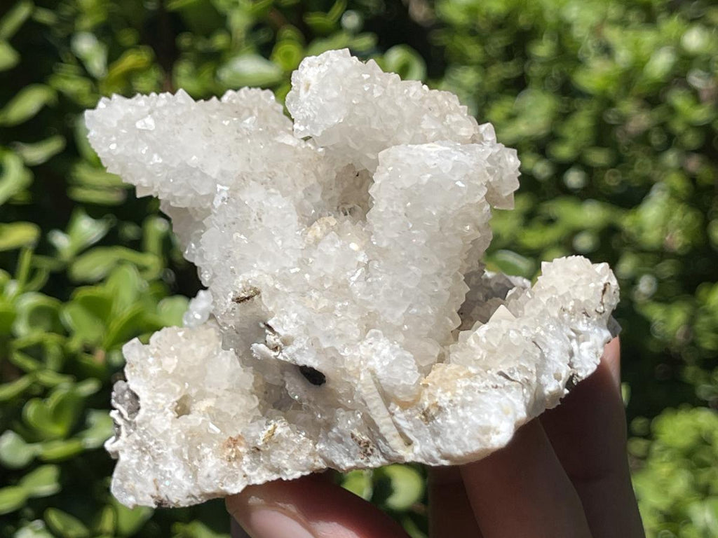 Natural Lesotho Snow Finger Quartz Cluster x 1 From Albert's Mountain