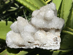 Natural Lesotho Snow Finger Quartz Cluster x 1 From Albert's Mountain