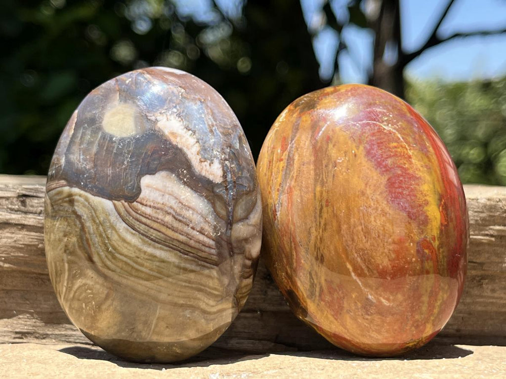 Polished Pair AA Grade Petrified Wood Galets x 1 From Mahajanga, Madagascar