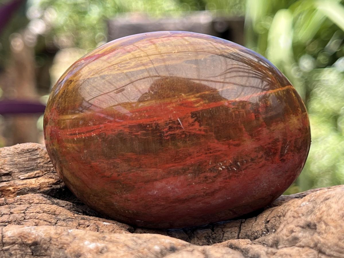 Polished Pair AA Grade Petrified Wood Galets x 1 From Mahajanga, Madagascar