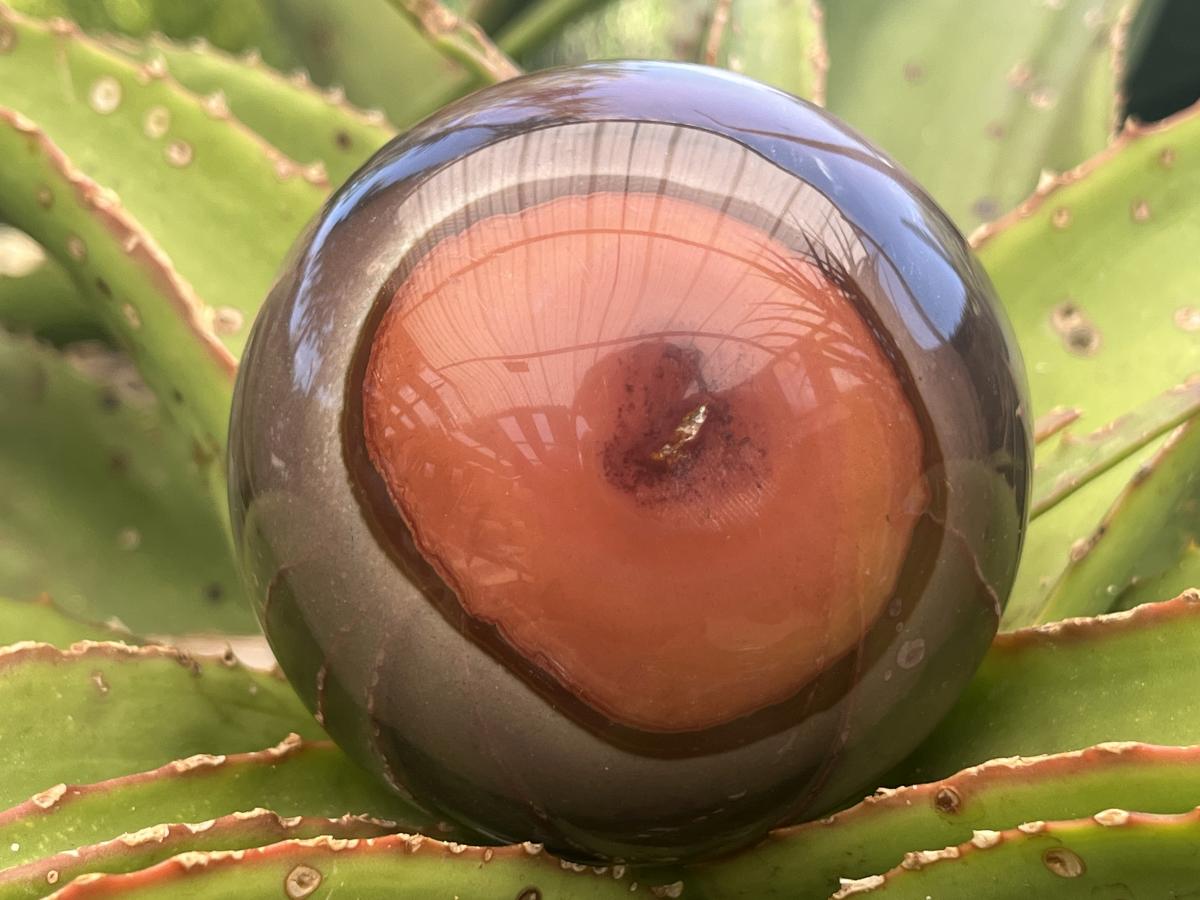 Polished Large Polychrome Picasso Jasper Sphere x 1 From Madagascar