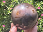 Polished Large Polychrome Picasso Jasper Sphere x 1 From Madagascar