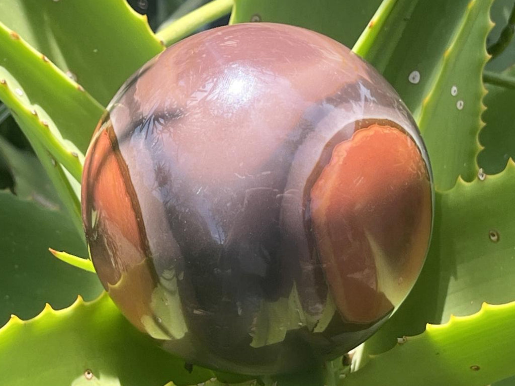 Polished Large Polychrome Picasso Jasper Sphere x 1 From Madagascar