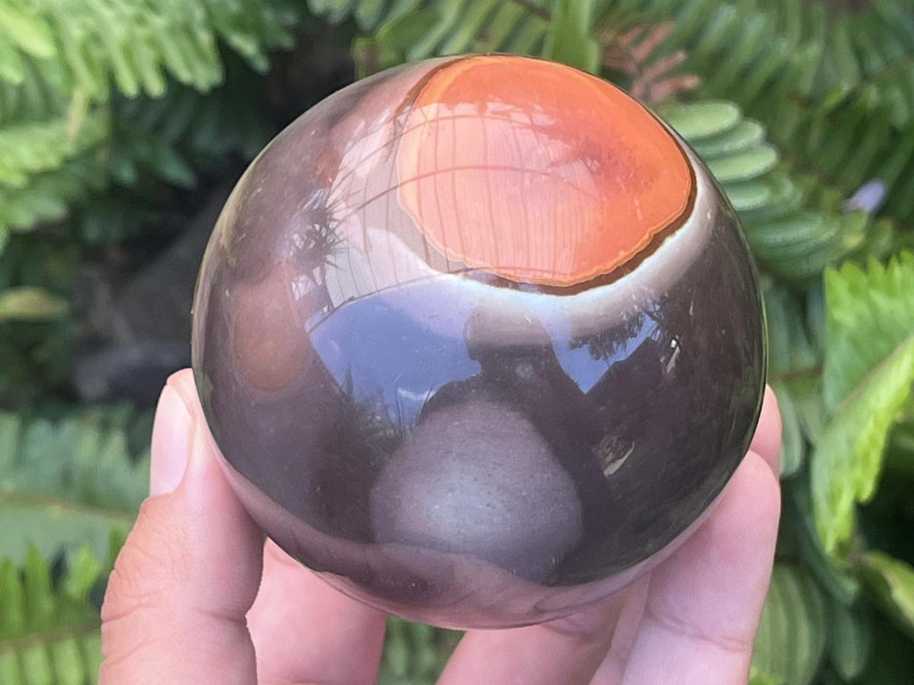 Polished Large Polychrome Picasso Jasper Sphere x 1 From Madagascar