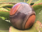 Polished Large Polychrome Picasso Jasper Sphere x 1 From Madagascar