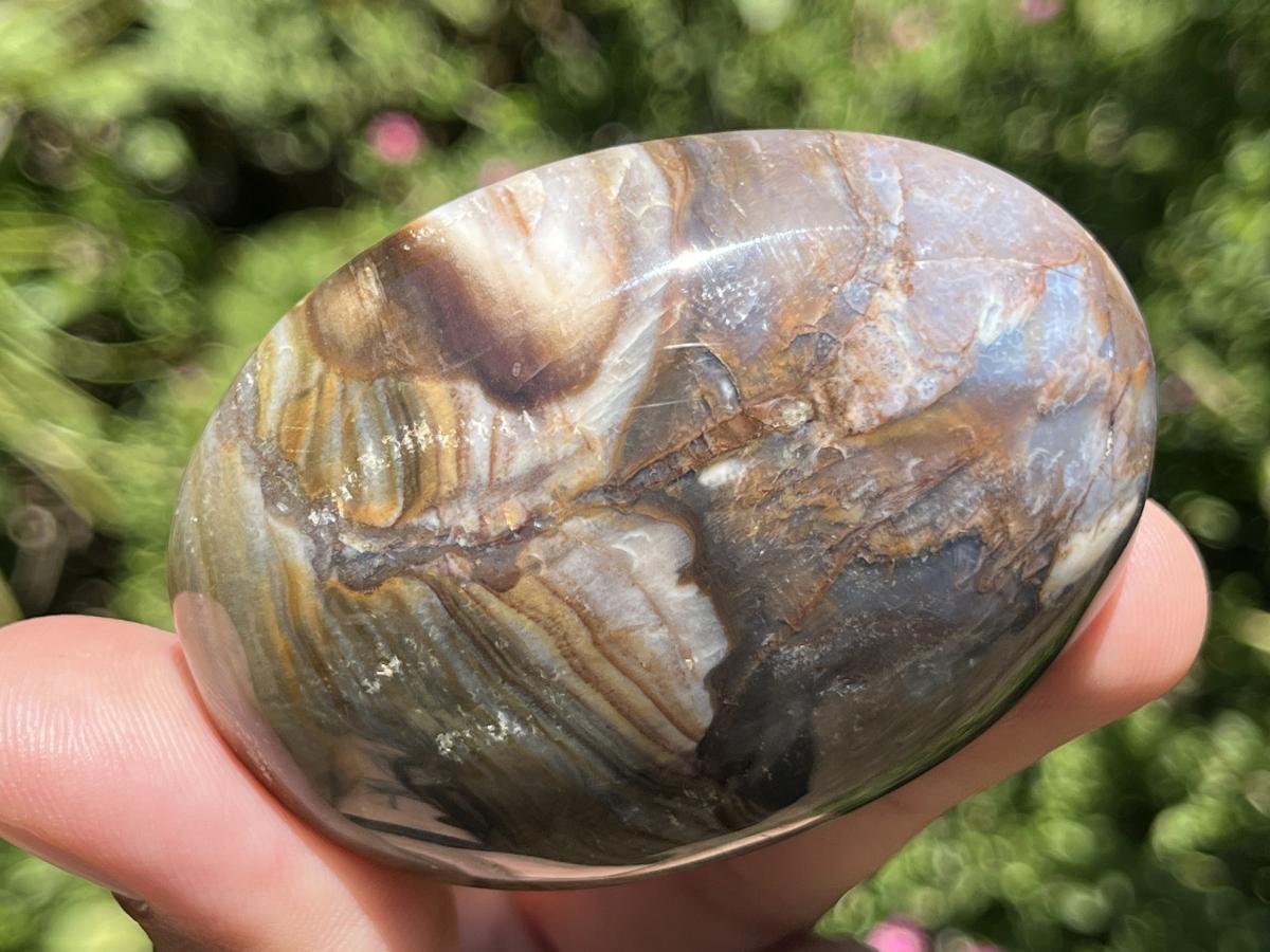 Polished Pair AA Grade Petrified Wood Galets x 1 From Mahajanga, Madagascar