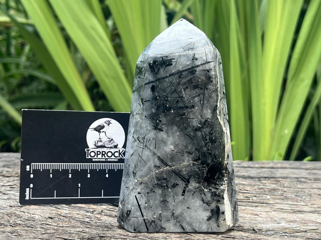 Polished Tourmalinated Inclusion Quartz Crystal x 1 From Madagascar